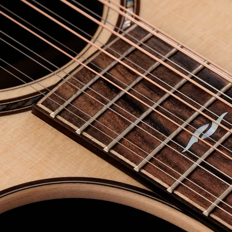 Acoustic／ SeriesギターTaylor Guitars